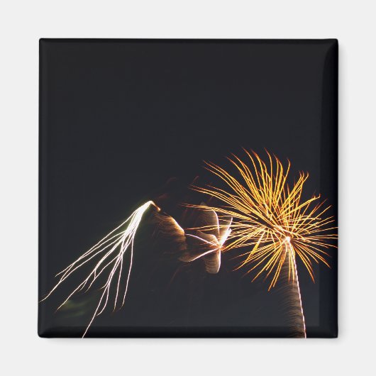 Fireworks P0538 Magnet (Vorne)