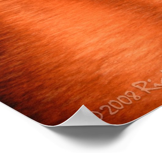 Fireworks Sydney Opera House Idol Poster (Ecke)