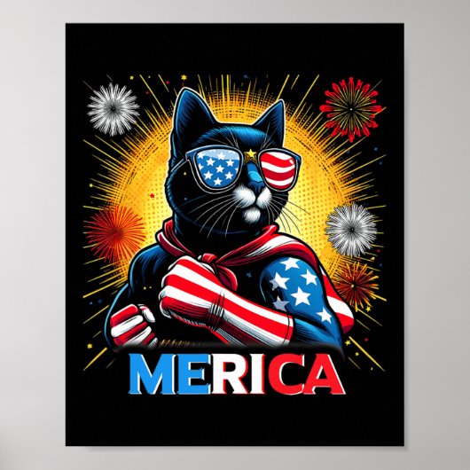 Fireworks Us Flag Patriotic Black Cat Poster (Vorne)