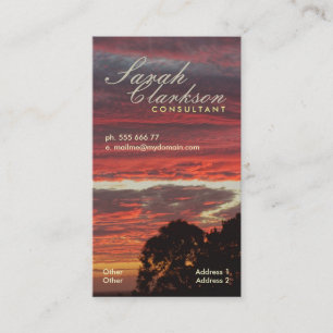 Firey überlagert Skys Vertikale-Visitenkarte Visitenkarte