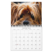 Firmenkalender für Hunde im Pet Store Kalender (Jan 2026)