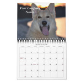 Firmenkalender für Hunde im Pet Store Kalender (Mär 2026)