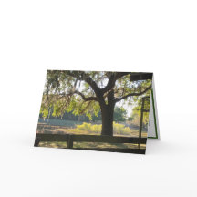 "Firmly Rooted" Psalms Scripture Greeting