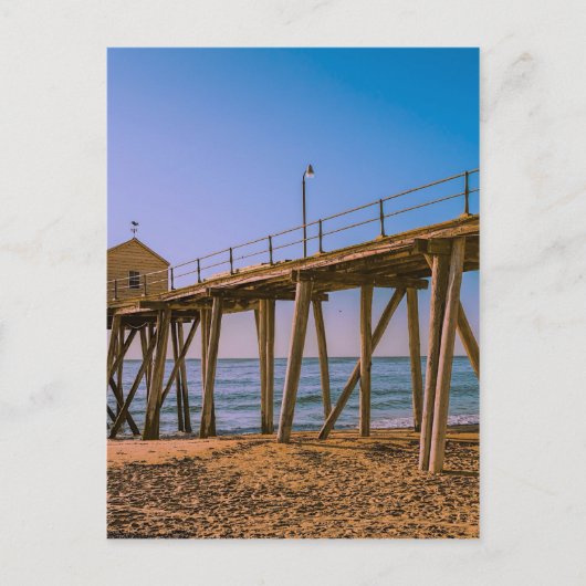 First Ave Pier, Belmar, NJ Postkarte (Vorderseite)