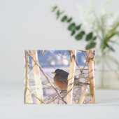 First Bird Postkarte (Stehend Vorderseite)