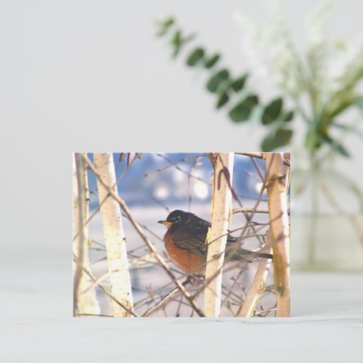 First Bird Postkarte (Stehend Vorderseite)