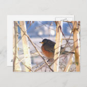 First Bird Postkarte (Vorne/Hinten)