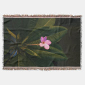 First Bloom, Plumeria Decke (Vorderseite)