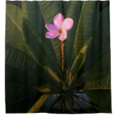 First Bloom, Plumeria Duschvorhang (Vorderseite)