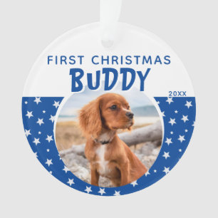 First Christmas Blue Star Pattern Puppy Dodge Foto Ornament