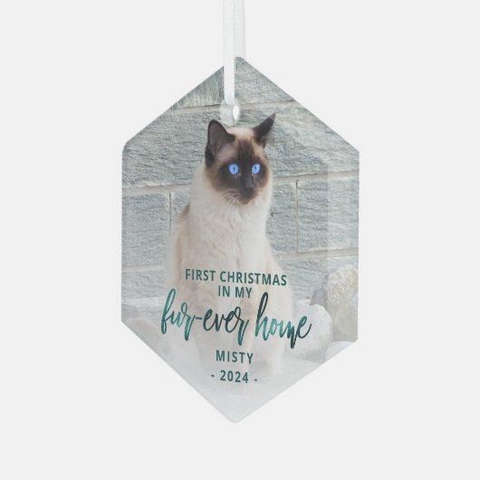 First Christmas Forever Zuhause Pet Foto Aquamarin Ornament Aus Glas (Vorderseite Links)