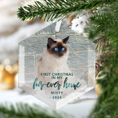 First Christmas Forever Zuhause Pet Foto Aquamarin Ornament Aus Glas