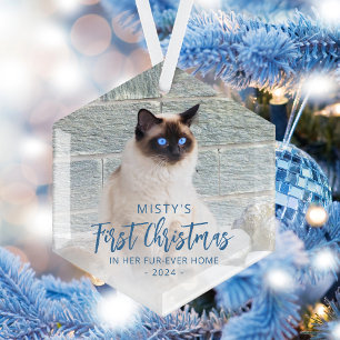 First Christmas Forever Zuhause Pet Foto Blue Ornament Aus Glas