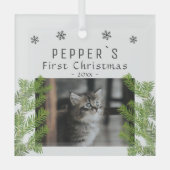 First Christmas Kitten Cine Pine Foto Keepake Ornament Aus Glas (Vorderseite)