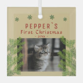 First Christmas Kitten Cine Pine Foto Keepake Ornament Aus Glas (Vorderseite)