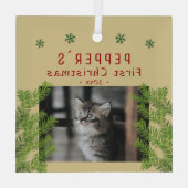 First Christmas Kitten Cine Pine Foto Keepake Ornament Aus Glas (Rückseite)