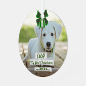 First Christmas ornament with my pet (Vorderseite links)