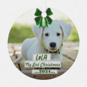 First Christmas ornament with my pet (Vorderseite)