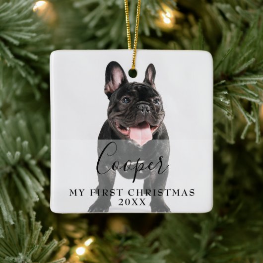 First Christmas Pet 2 Photo Script Name Keramikornament (Baum)