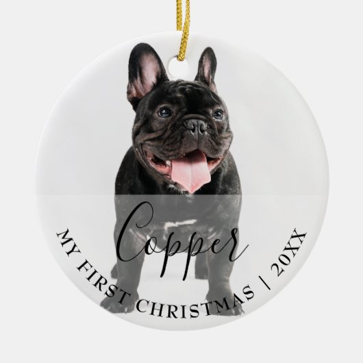 First Christmas Pet 2 Photo Script Name Ornament (Vorne)