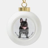 First Christmas Pet Photo Script Name Ornament (Vorderseite)