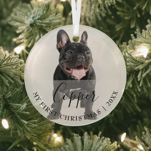 First Christmas Pet Photo Script Name Ornament (InSitu)
