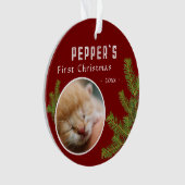 First Christmas Pine Kitten Cat 2 Foto Keepake Ornament (Vorderseite)
