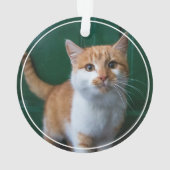 First Christmas Pine Kitten Cat 2 Foto Keepake Ornament (Rückseite)
