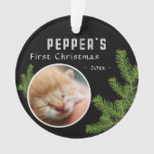 First Christmas Pine Kitten Cat 2 Foto Keepake Ornament (Vorderseite)
