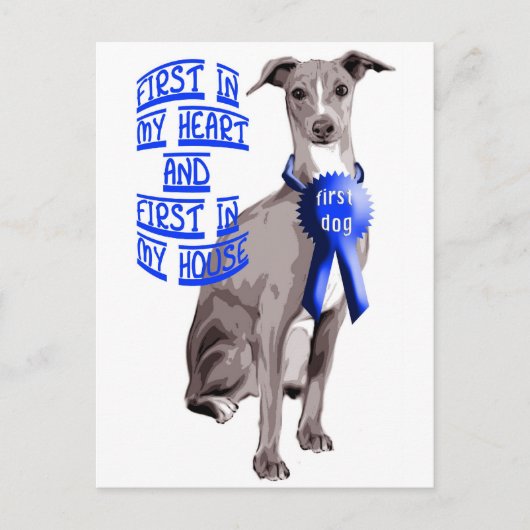 First Dog Italian Greyhound Postkarte (Vorderseite)