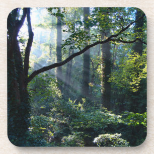 First Light Cork Untersetzer