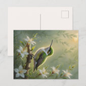 First Light Kin Hummingbird Postcard Postkarte (Vorne/Hinten)