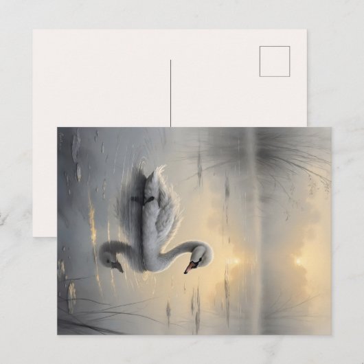 First Light Kin Swan Postcard Postkarte (Vorne/Hinten)