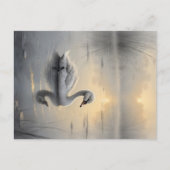 First Light Kin Swan Postcard Postkarte (Vorderseite)