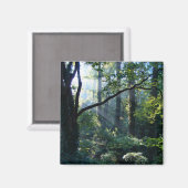 First Light Magnet (Vorderseite/Rückseite)