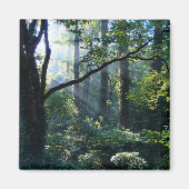 First Light Magnet (Vorne)