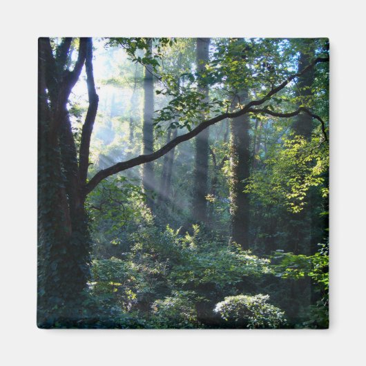 First Light Magnet (Vorne)