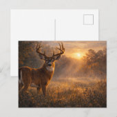 First Light | Whitetail Deer Art | Postcard Postkarte (Vorne/Hinten)