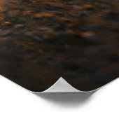 First Light | Whitetail Deer Art | Poster (Ecke)