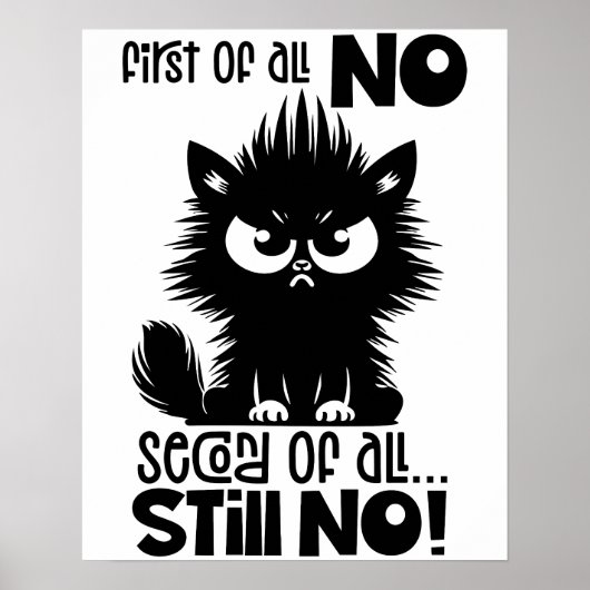First Of All, No Funny Cat Lover Gift Poster (Vorne)