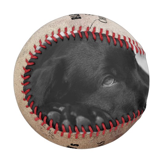 First Puppy`s Christmas Dog Rustic Photo Collage Baseball (Vorderseite Links)