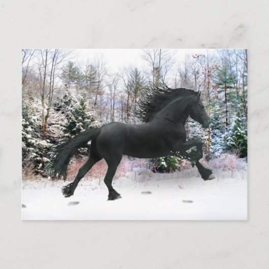 "First Snow Run" Postkarte (Vorderseite)