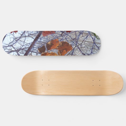 First Snow Winter Tarnung Style Skateboard (Horizontal)