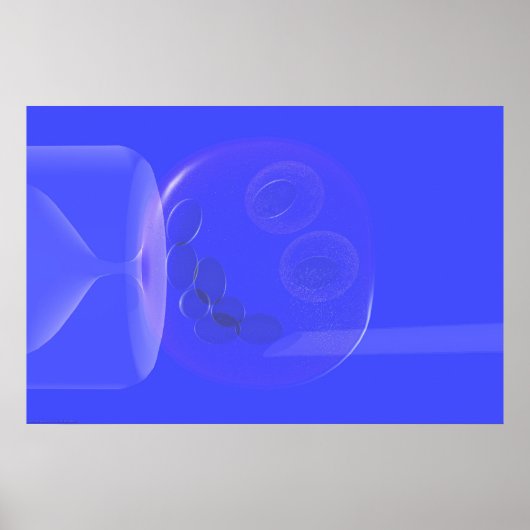 First Step in Human Cloning Poster (Vorne)