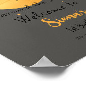 First Trip Around The Sun Paper Airplane Birthday Poster (Ecke)