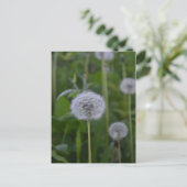 First Wish Postkarte (Stehend Vorderseite)