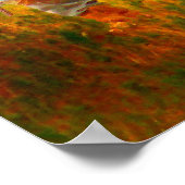 FirstHunt Poster (Ecke)