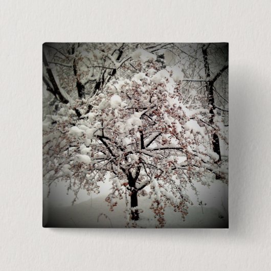 FirstSnow 65 Knopf Button (Vorderseite)