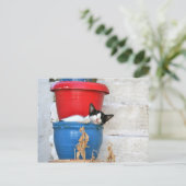 Fiscardo, Kefalonia Postkarte (Stehend Vorderseite)