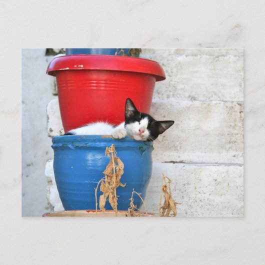 Fiscardo, Kefalonia Postkarte (Vorderseite)